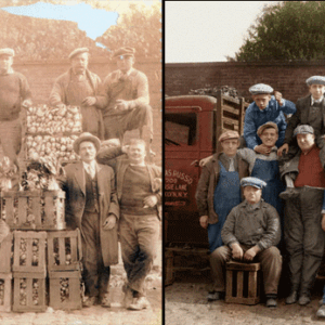 Colorize Black and White Photos