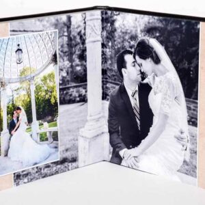 Photos or Album Pages Up to 11"x 17"