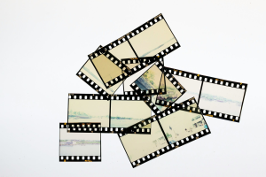 Glass Plate Negatives