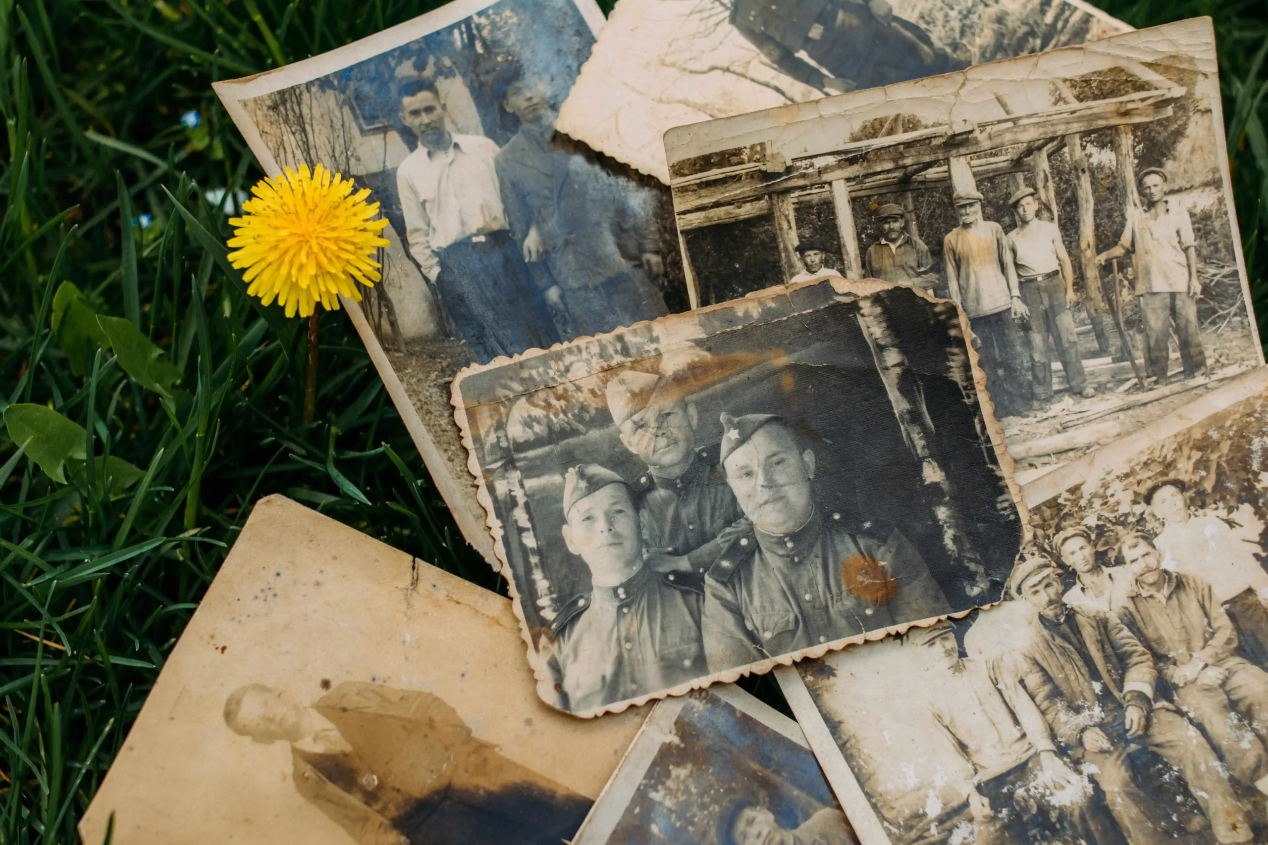 Inherited Photo Collection